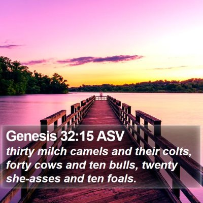 Genesis 32:15 ASV Bible Verse Image