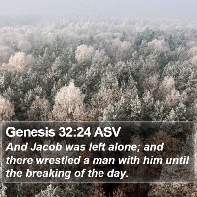 Genesis 32:24 ASV Bible Verse Image