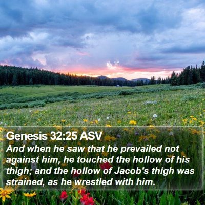 Genesis 32:25 ASV Bible Verse Image