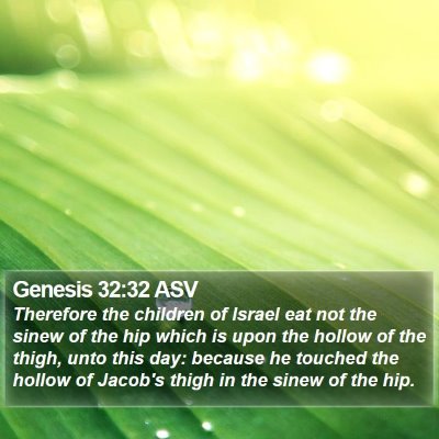 Genesis 32:32 ASV Bible Verse Image