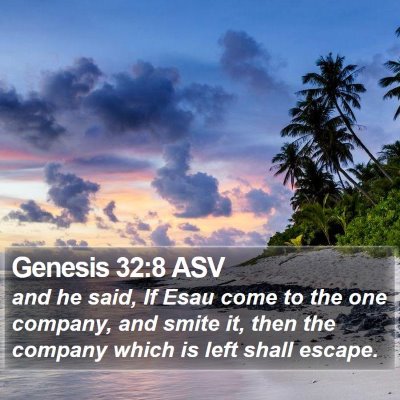 Genesis 32:8 ASV Bible Verse Image
