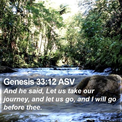 Genesis 33:12 ASV Bible Verse Image