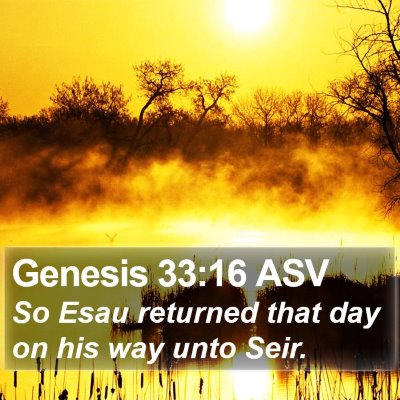 Genesis 33:16 ASV Bible Verse Image
