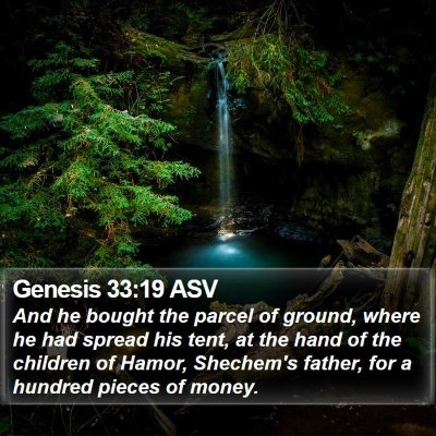 Genesis 33:19 ASV Bible Verse Image