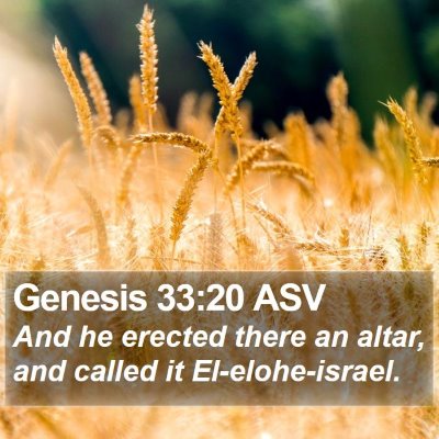 Genesis 33:20 ASV Bible Verse Image