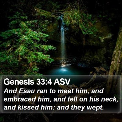 Genesis 33:4 ASV Bible Verse Image