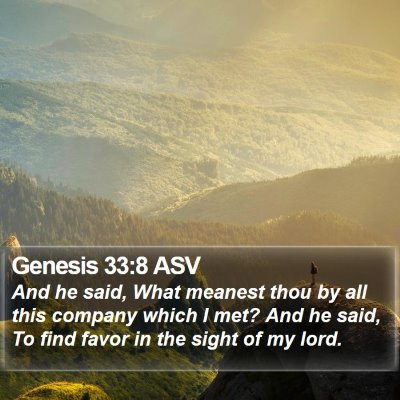 Genesis 33:8 ASV Bible Verse Image