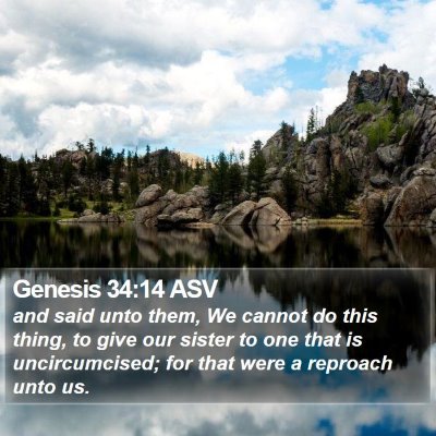 Genesis 34:14 ASV Bible Verse Image