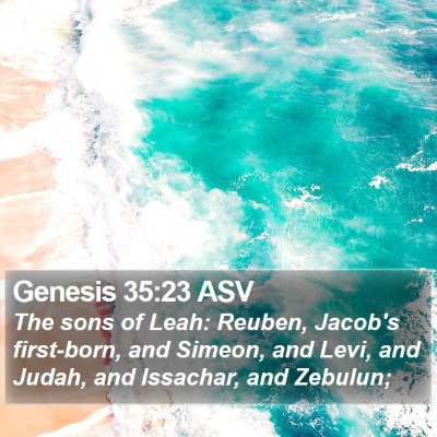 Genesis 35:23 ASV Bible Verse Image
