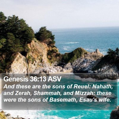 Genesis 36:13 ASV Bible Verse Image