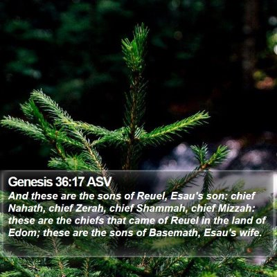 Genesis 36:17 ASV Bible Verse Image