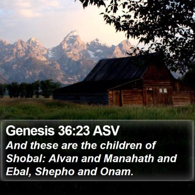 Genesis 36:23 ASV Bible Verse Image