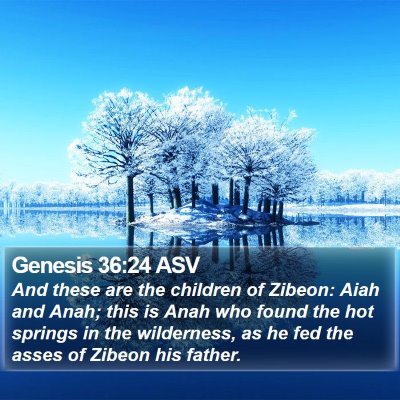 Genesis 36:24 ASV Bible Verse Image
