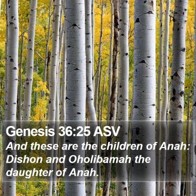 Genesis 36:25 ASV Bible Verse Image