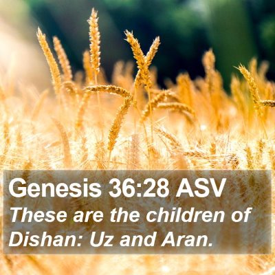 Genesis 36:28 ASV Bible Verse Image