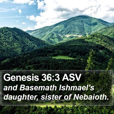 Genesis 36:3 ASV Bible Verse Image