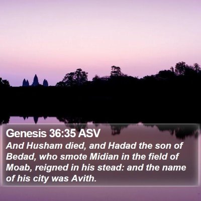 Genesis 36:35 ASV Bible Verse Image