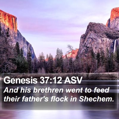 Genesis 37:12 ASV Bible Verse Image