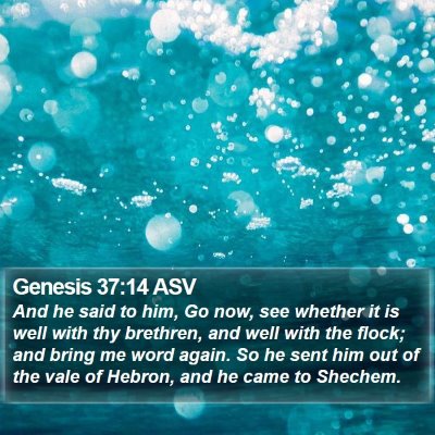 Genesis 37:14 ASV Bible Verse Image