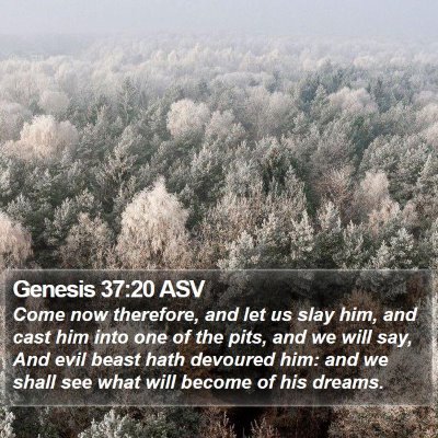 Genesis 37:20 ASV Bible Verse Image