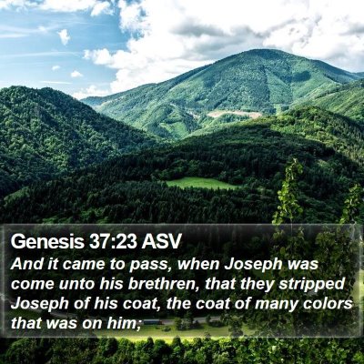 Genesis 37:23 ASV Bible Verse Image