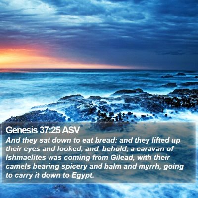 Genesis 37:25 ASV Bible Verse Image