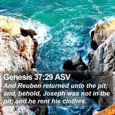 Genesis 37:29 ASV Bible Verse Image