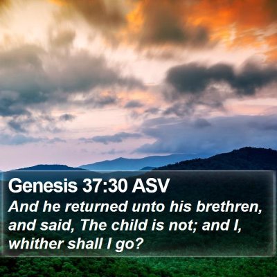 Genesis 37:30 ASV Bible Verse Image