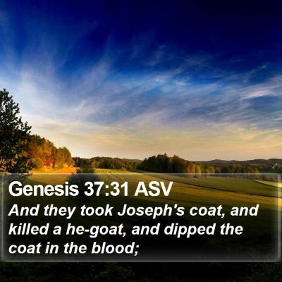 Genesis 37:31 ASV Bible Verse Image
