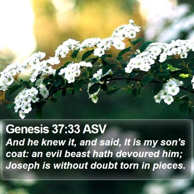 Genesis 37:33 ASV Bible Verse Image