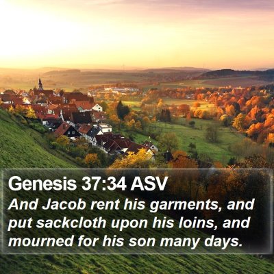 Genesis 37:34 ASV Bible Verse Image