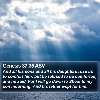 Genesis 37:35 ASV Bible Verse Image