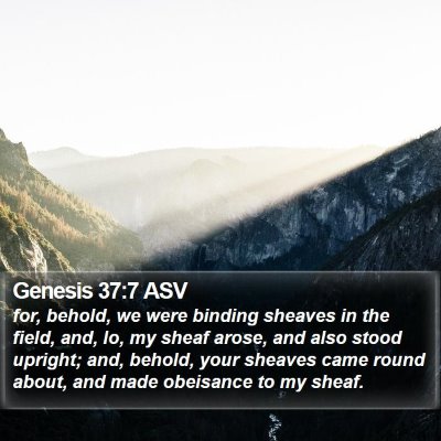 Genesis 37:7 ASV Bible Verse Image