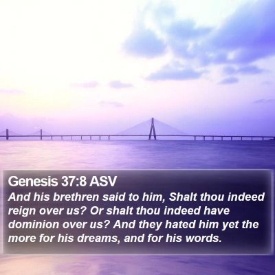 Genesis 37:8 ASV Bible Verse Image