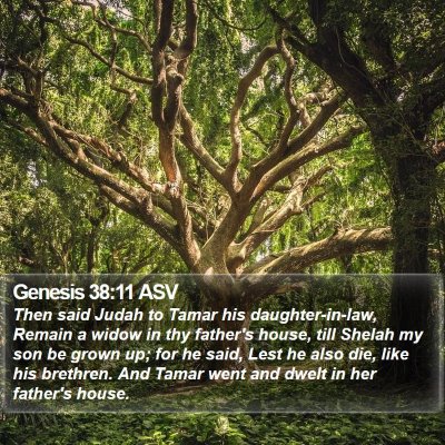 Genesis 38:11 ASV Bible Verse Image