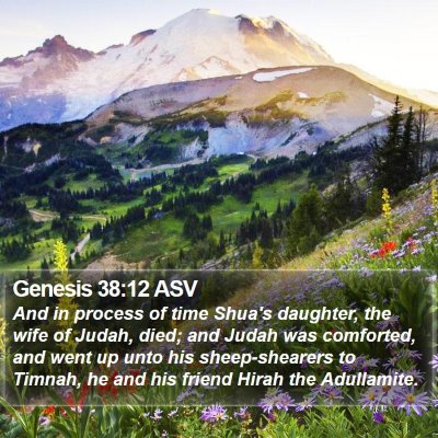 Genesis 38:12 ASV Bible Verse Image
