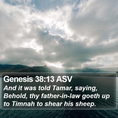 Genesis 38:13 ASV Bible Verse Image