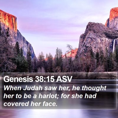 Genesis 38:15 ASV Bible Verse Image