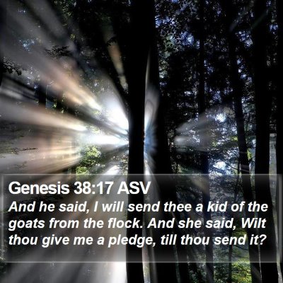 Genesis 38:17 ASV Bible Verse Image