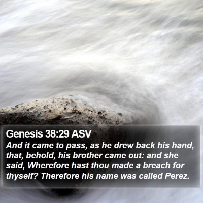 Genesis 38:29 ASV Bible Verse Image