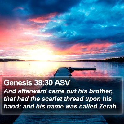 Genesis 38:30 ASV Bible Verse Image