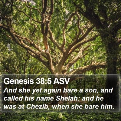 Genesis 38:5 ASV Bible Verse Image