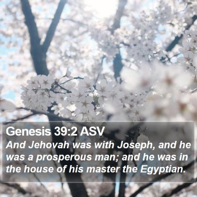 Genesis 39:2 ASV Bible Verse Image