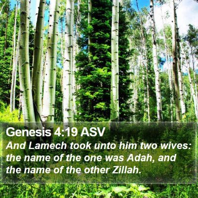 Genesis 4:19 ASV Bible Verse Image