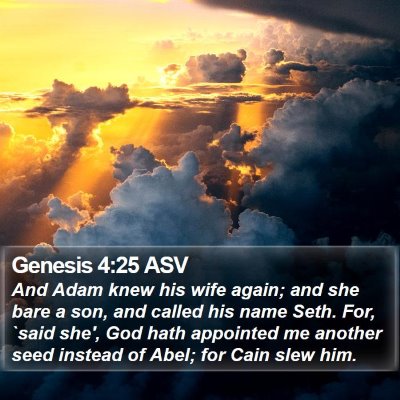 Genesis 4:25 ASV Bible Verse Image