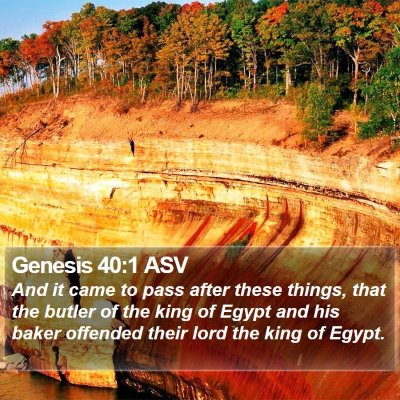 Genesis 40:1 ASV Bible Verse Image