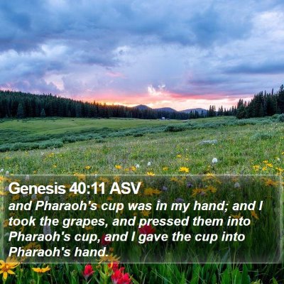 Genesis 40:11 ASV Bible Verse Image