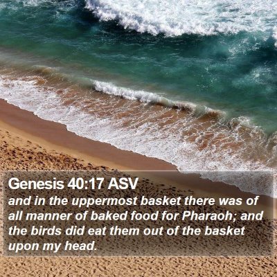 Genesis 40:17 ASV Bible Verse Image