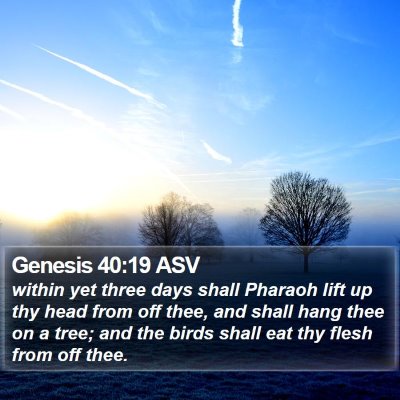 Genesis 40:19 ASV Bible Verse Image