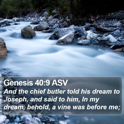 Genesis 40:9 ASV Bible Verse Image